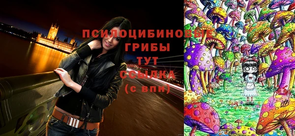 spice Балахна