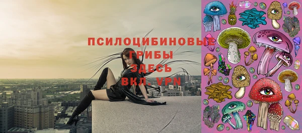 ГАЛЛЮЦИНОГЕННЫЕ ГРИБЫ Баксан