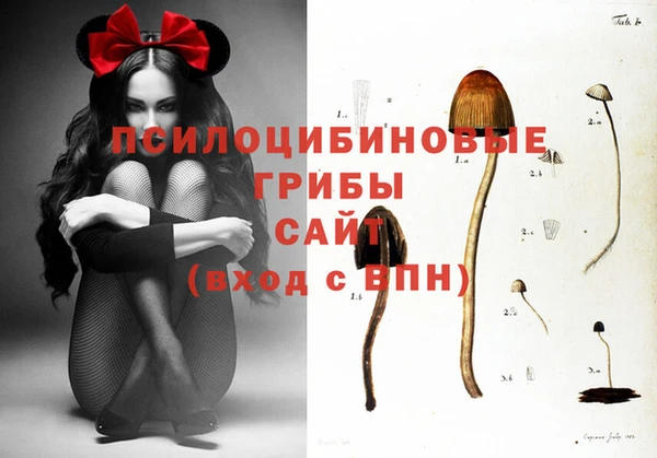 меф Белокуриха